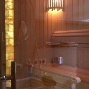 Построить сауну в квартире