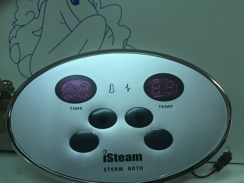 Пульт парогенератора iSteam IS-60 6кВт, 220/380В Германия Steam&Water